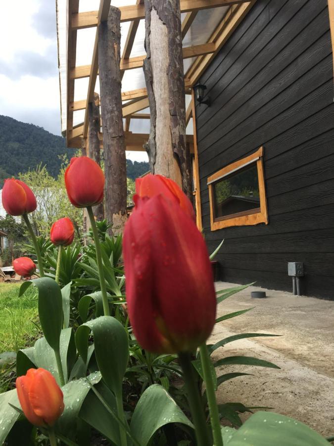 Cabanas Senderos Puyuhuapi ภายนอก รูปภาพ